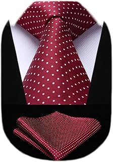HISDERN Polka Dot Ties for Men Handkerchief Woven Classic Silk Mens Ties and Pocket Square Set Wedding Business