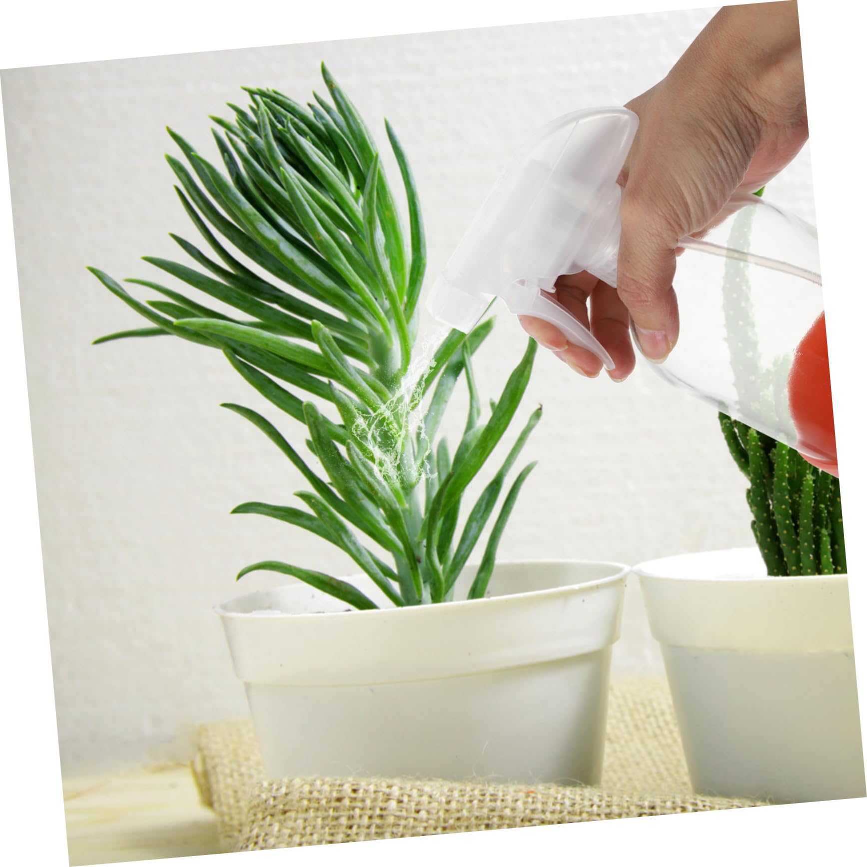 Wiederbefüllbare Glas Sprühflaschen 500ml 3 Stück-pack für Pflanzen