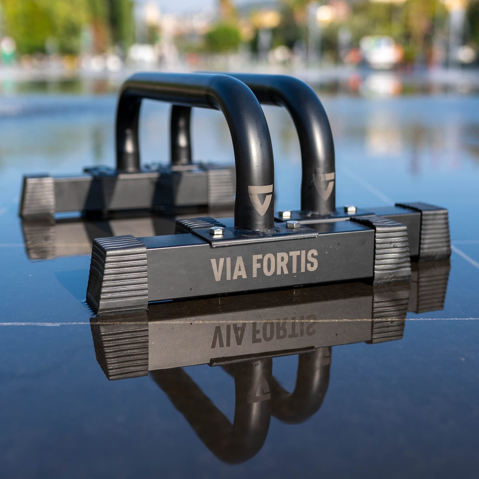 VIA FORTIS - Barres Parallettes Premium - Acier Ultra-Résistant et léger - Facile à Transporter - Musculation au Poids du Corps - Tous Niveaux