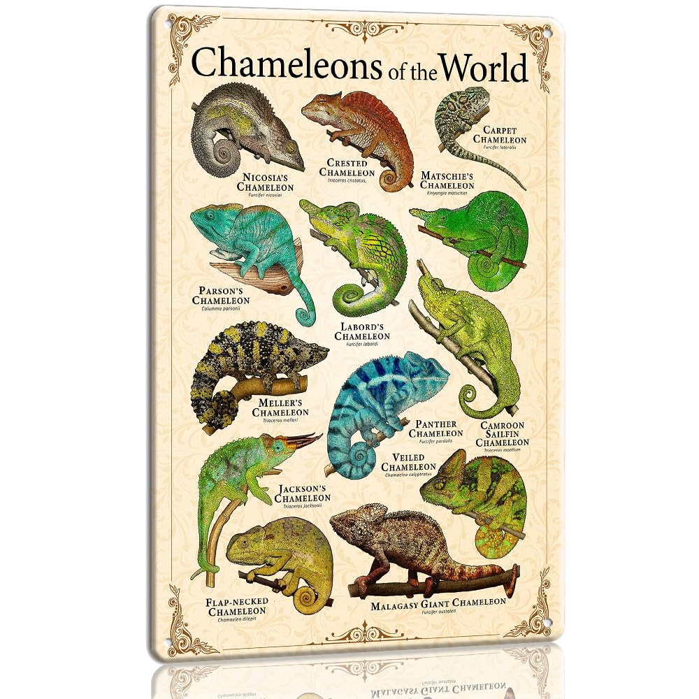 Pejinlu Chameleons Knowledge Wall Art Educational Metal Poster, 12x16 Inch Vintage Animal Decor for Bedroom, Classroom, Reptile Gift