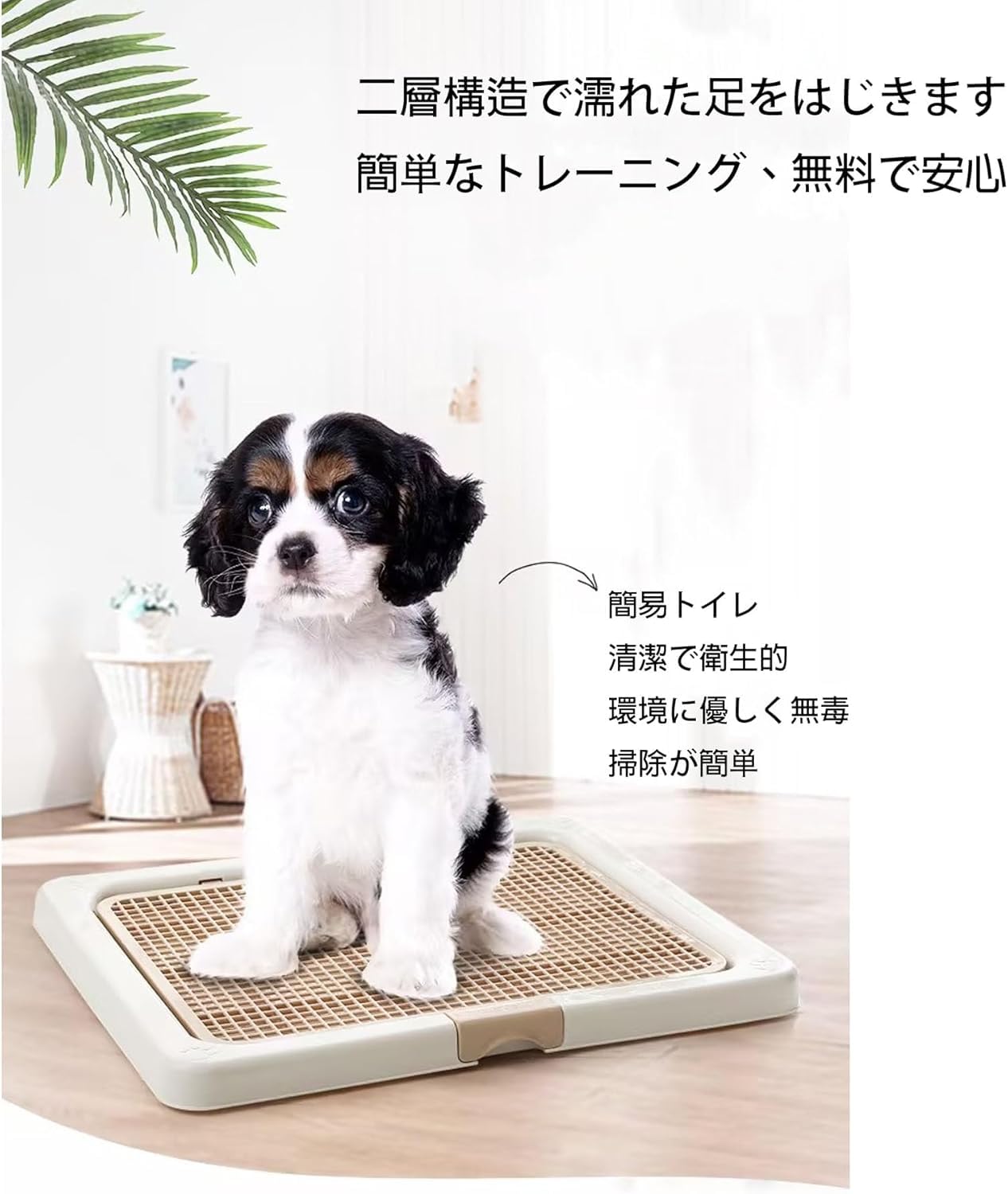 犬用トイレ Amazon | 犬用トイレトレー Lサイズ(55x45cm) お手入れ簡単 抗菌