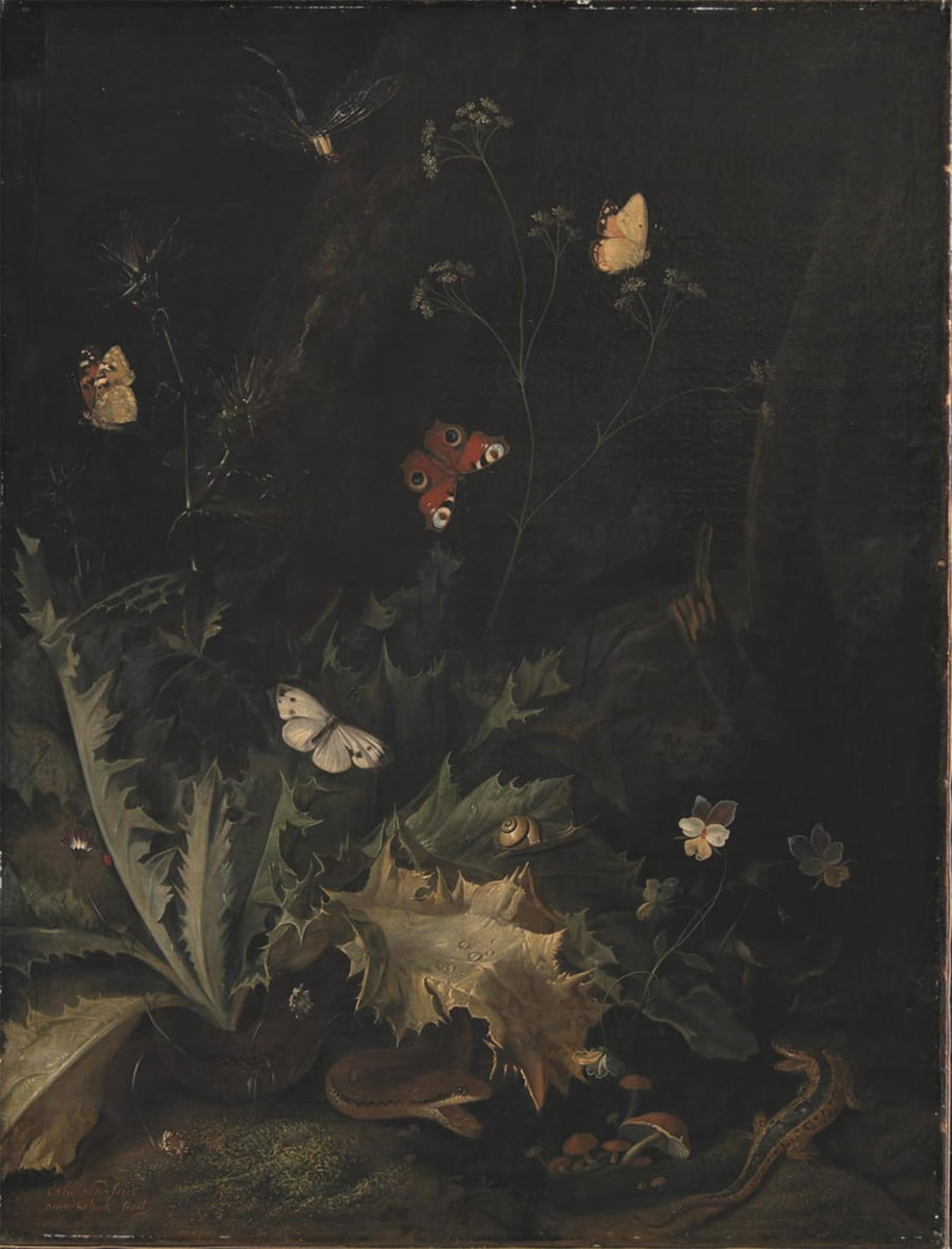 Xcbaihoud No Frame Famous Painting Art Print Poster Canvas Prints A Forest Floor With A Thistle A Snake A Lizard And Insects By Otto Marseus Van Schrieck Picture Mural For Home Decor 60X90cm