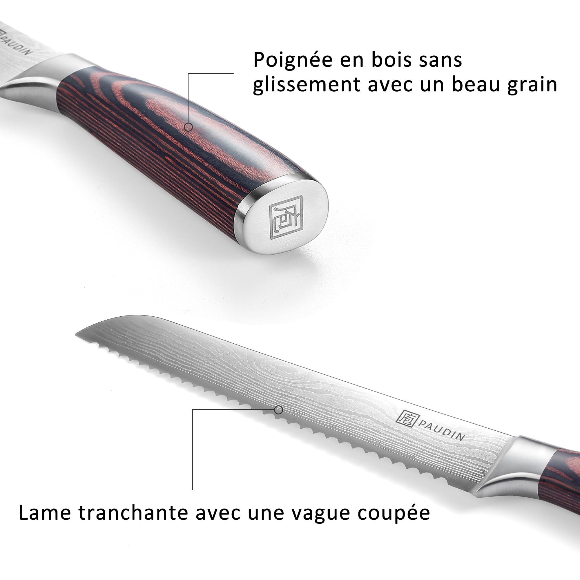 PAUDIN Couteau à Pain 8 Pouces Couteau de Cuisine à Lame Dentelée, Couteau en Acier Inoxydable à Haute Teneur en Carbone Allemand pour Couper Les Pains, Gâteaux