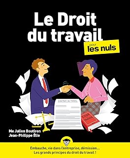 Le droit du travail Pour les Nuls, 5e