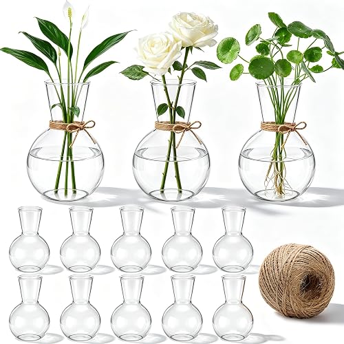 10 Pack Glass Plant Propagation Stations, Plant Terrarium Bulb Glass Propagation Vases with Hemp Rope, Clear Hydroponics Jars Gardening Gifts for Home Office Desk Decoration