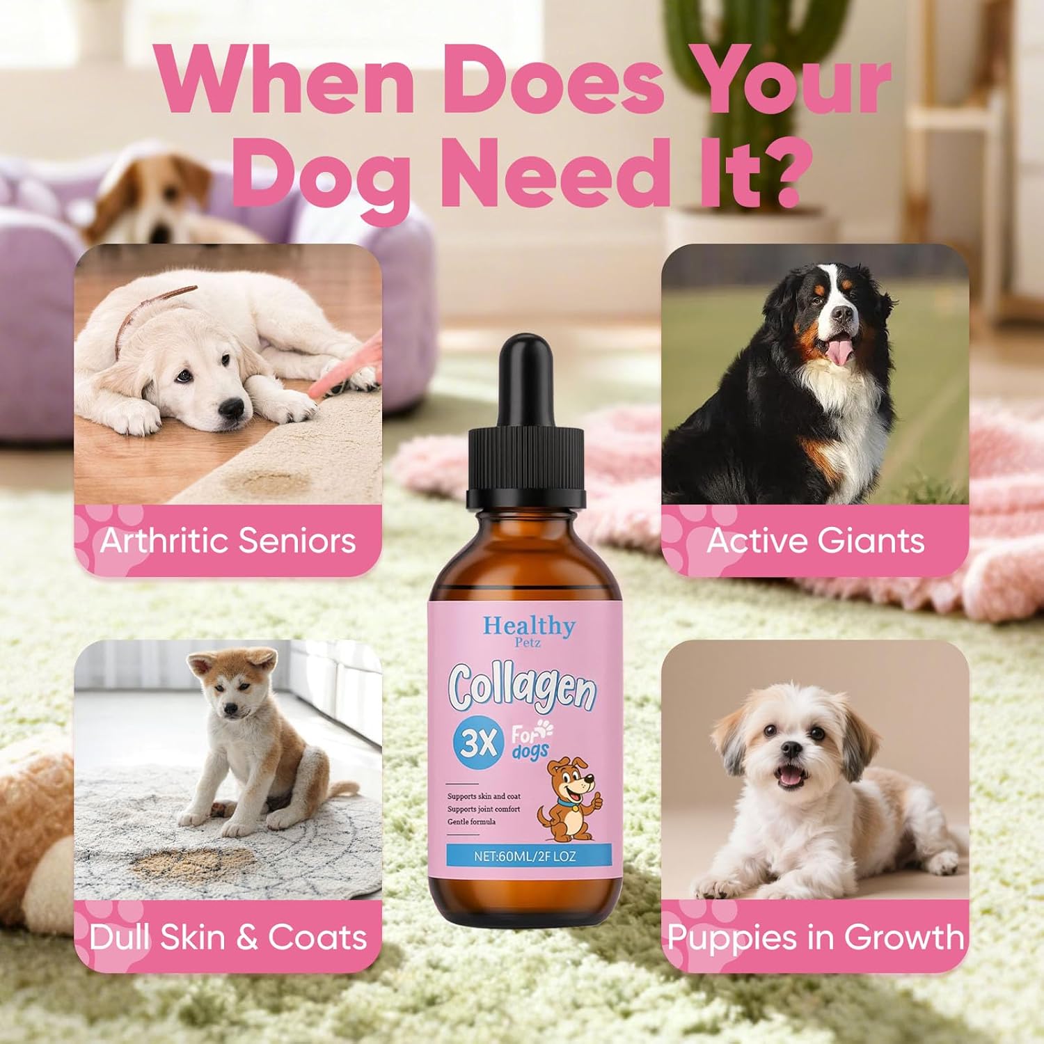 Healthy Petz Collagen for Dogs, Supports Joint Relief & Healthy Skin Coat, Gut Health, Premium Liquid Collagen Supplement, 2 fl.oz