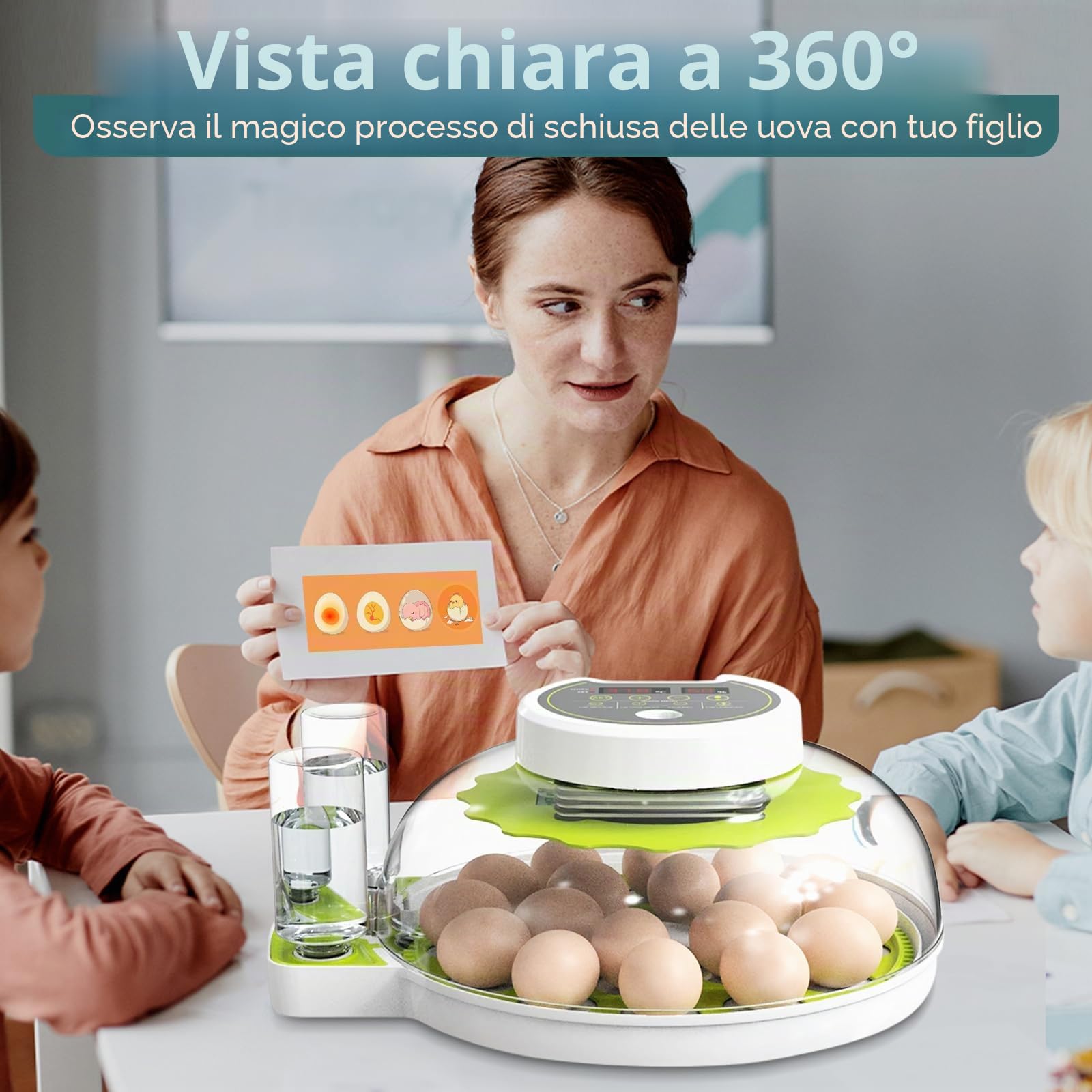 Macchina incubatrice completamente automatica con uova | controllo della temperatura e approvvigionamento idrico, coperchio a 360°, 18-36 uova di polli incubatori