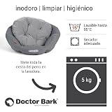 Ver la foto 6