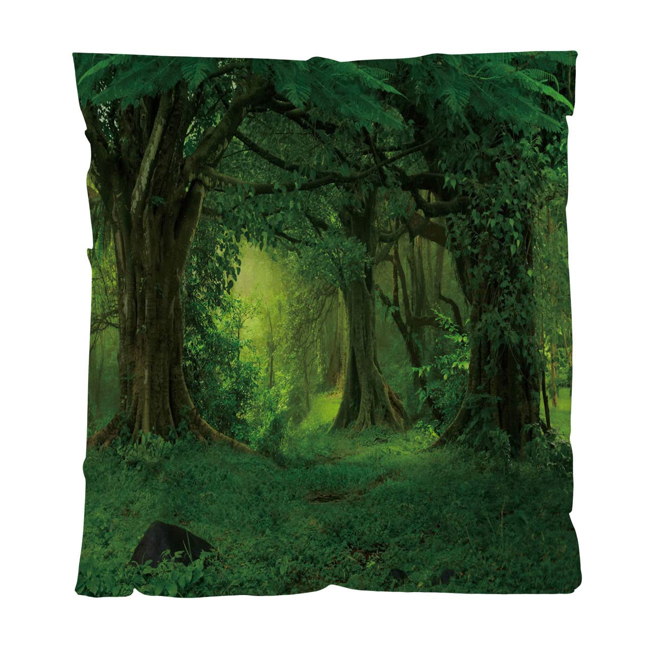 Luxury Throw Blanket Ultra Soft Couch Blanket 66Wx90L in Size Deep Tropical Jungles of Southeast Asia in August All Season Cozy Bed Blankets Perfect for Couch Sofa Or Bed