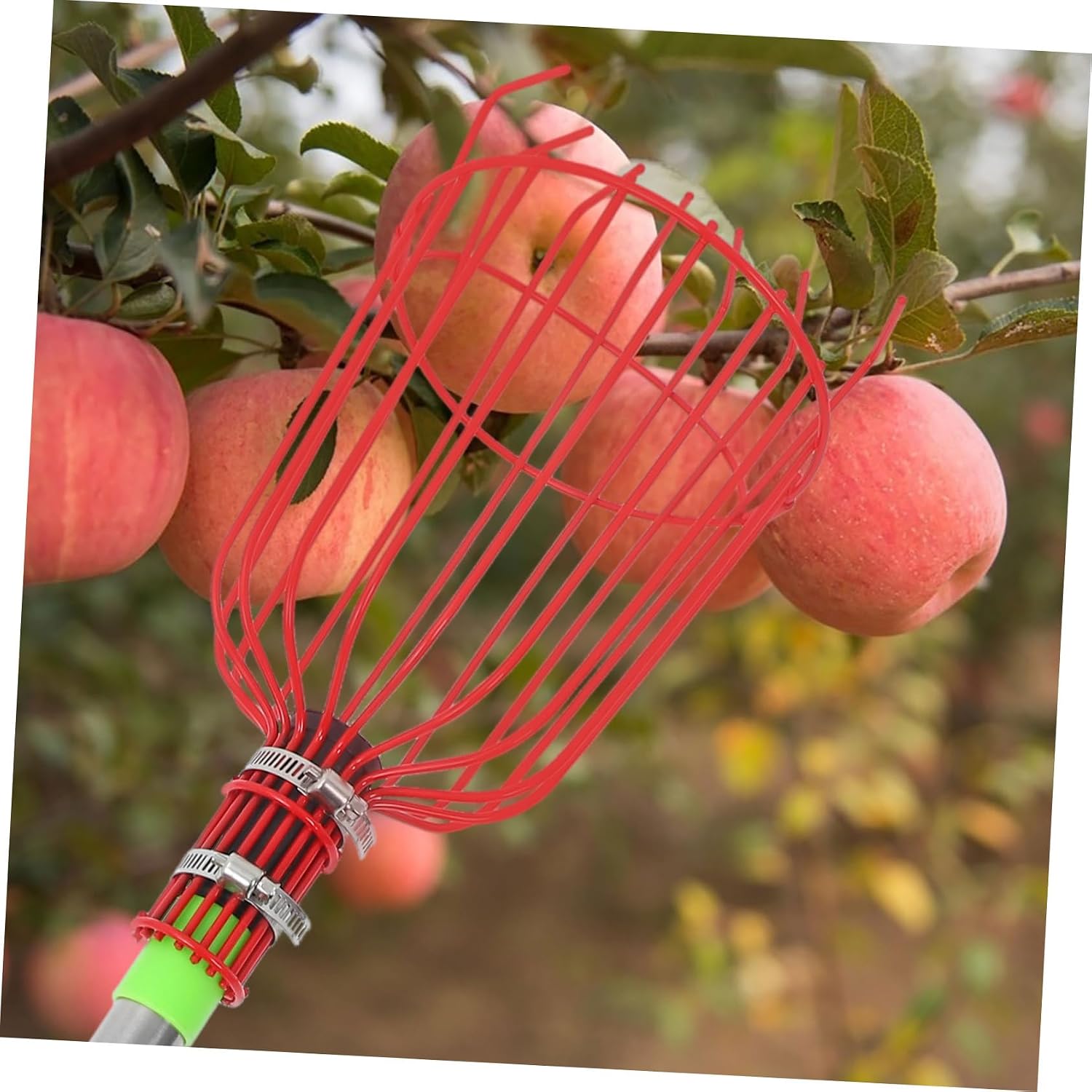 Veemoon Telescoping Fruit Picker Tool with Basket Fruit Pole for Apples Pears for Garden Use and High Reach Fruit Collection