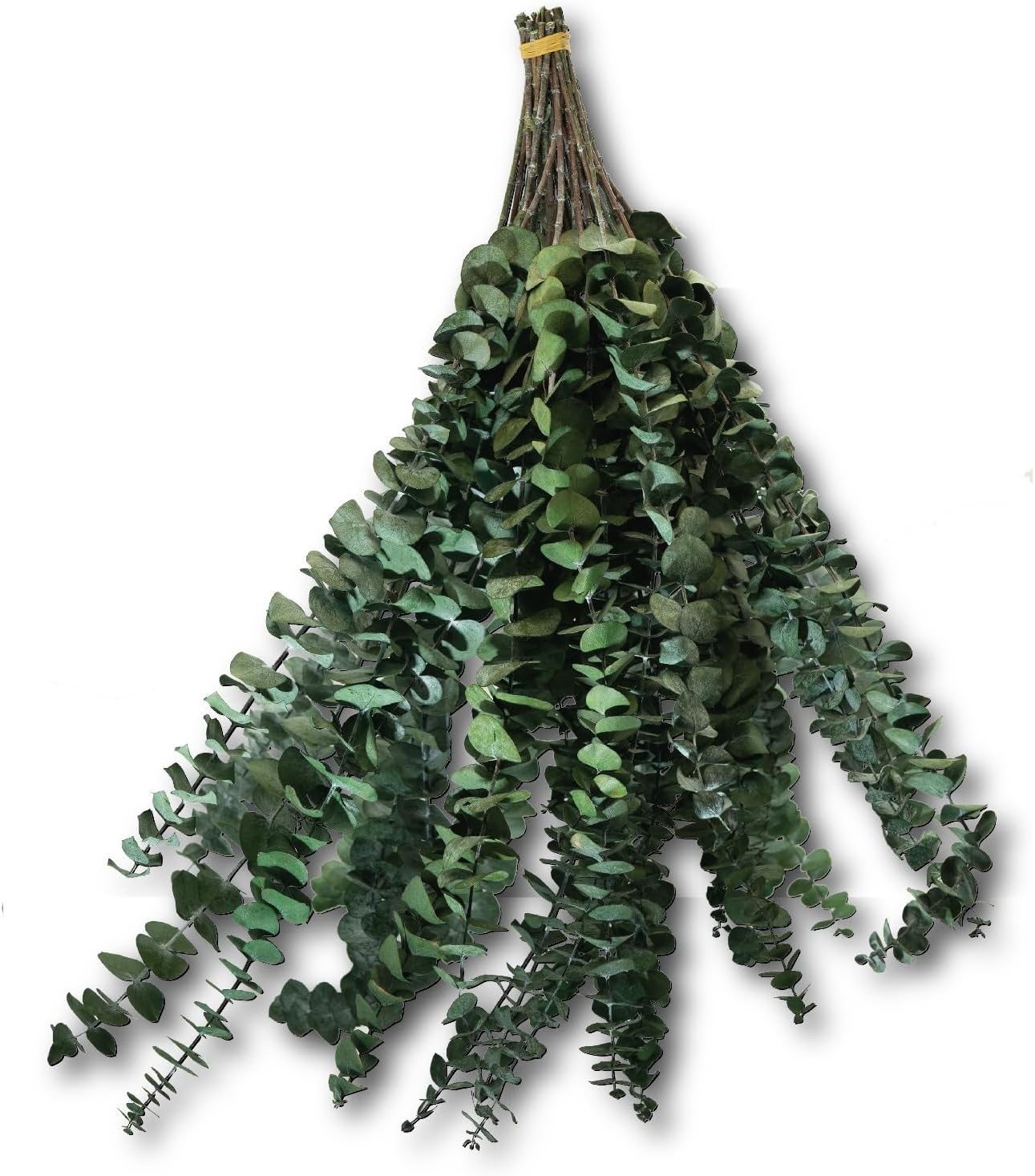 TGAOMM Dried Eucalyptus Leaves Shower Decor 24PCS 17