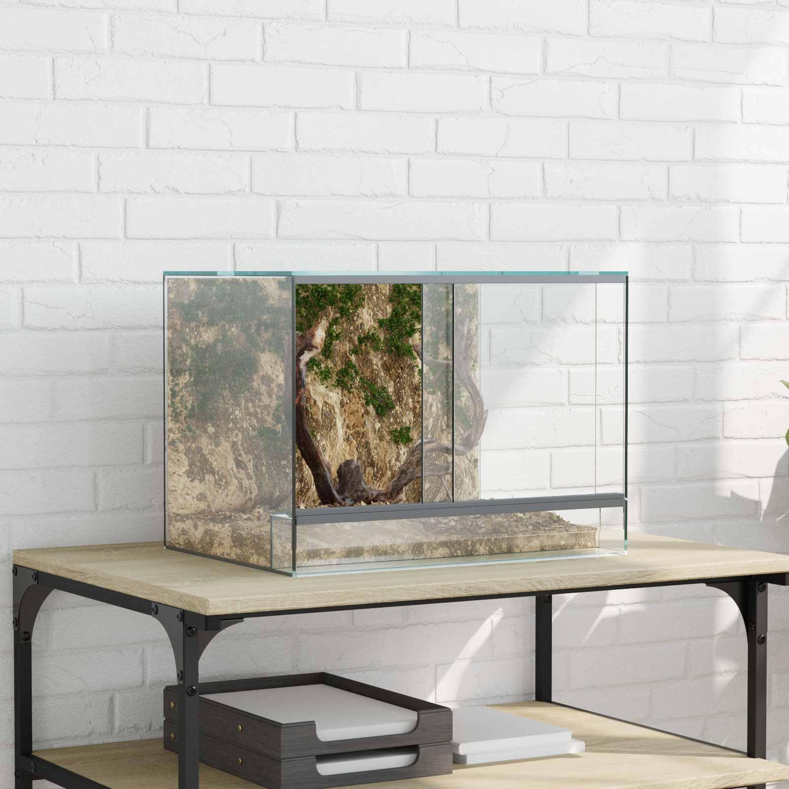 vidaXL Terrarium mit Speicher Transparent 40 x 30 x 30 cm Glas, Moderner Glasterrarium, robuster Reptilienkäfig, 360-Grad Lebensraum, transparentes Zuhause