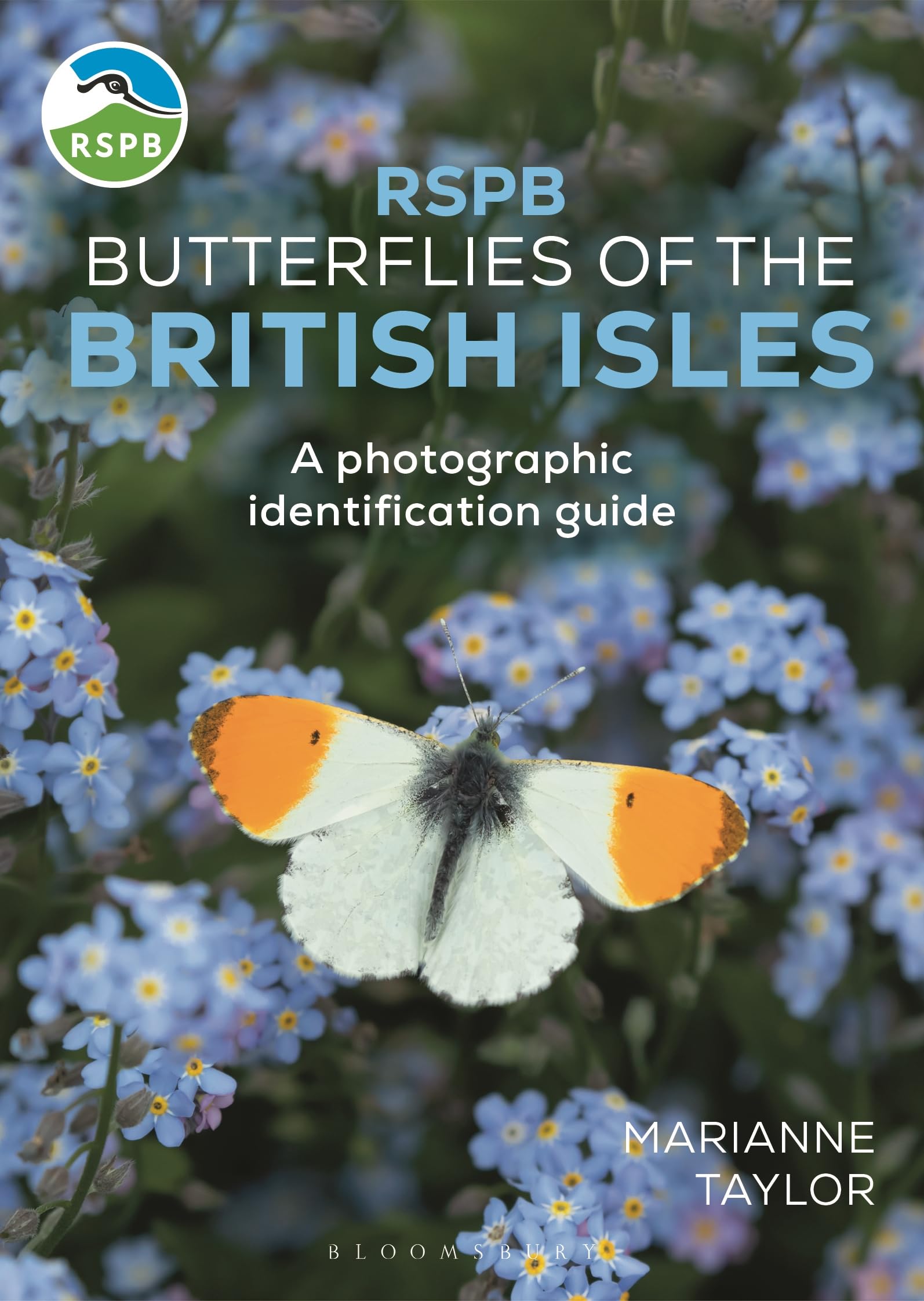 RSPB Butterflies of the British Isles: A photographic identification guide