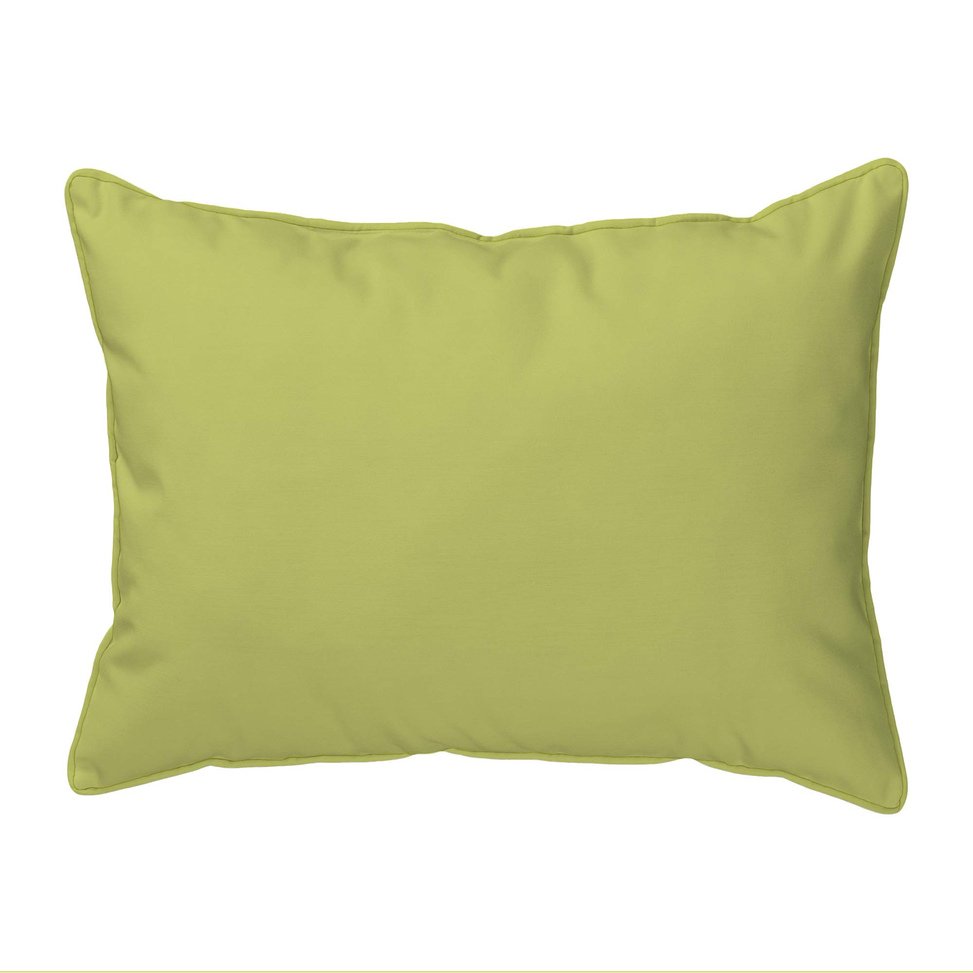 Betsy Drake Palm árboles y Mono Almohada, 16 "x 20"
