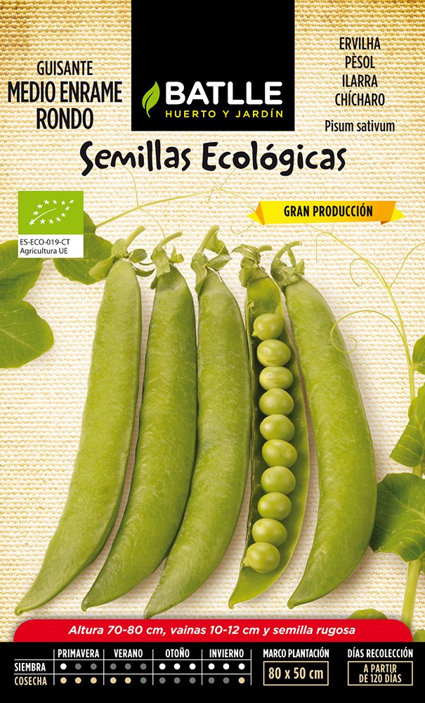 Semillas Batlle Guisante Rondo (medio enrame) - ECO