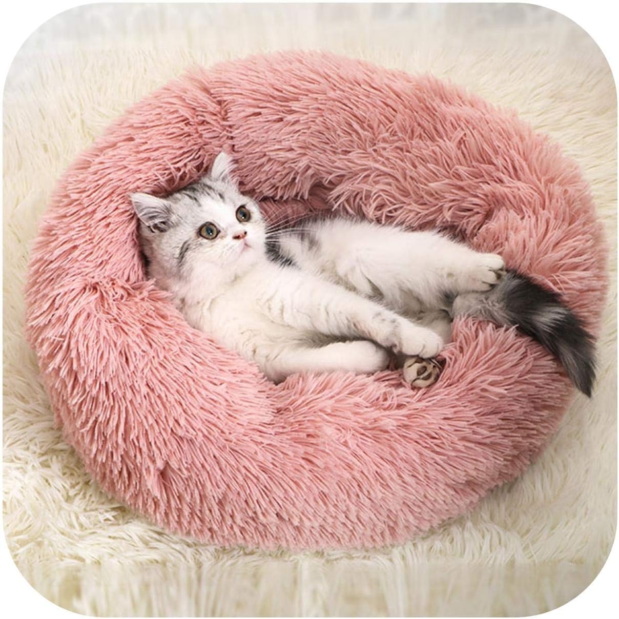 cuscino serta per il dolore al collo