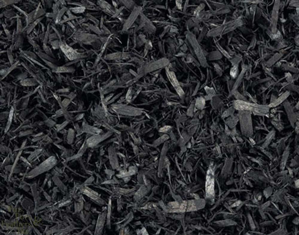 Fluker Labs SFK33002 Reptile Aspen Bedding, 4-Quart, Black