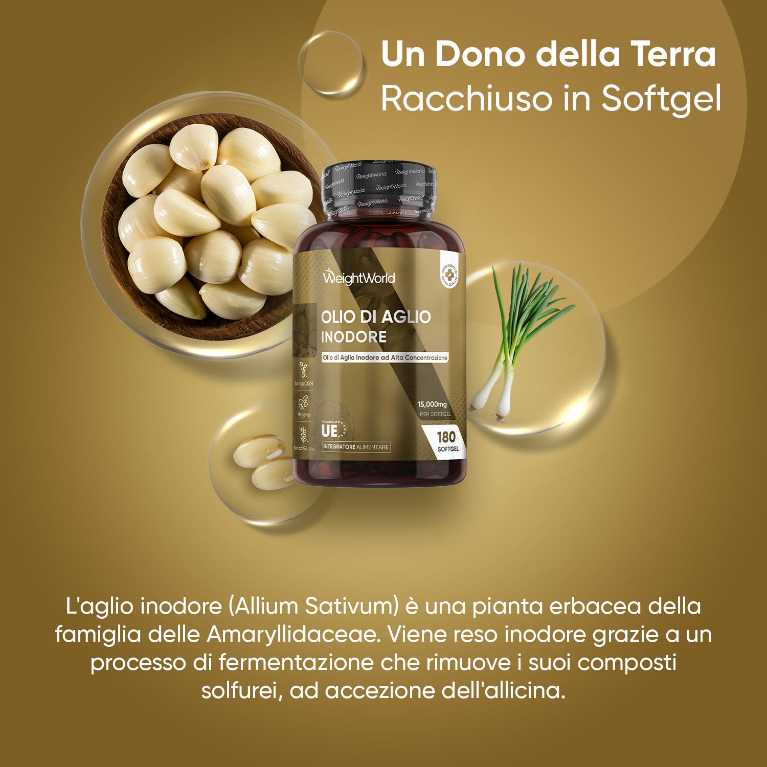 Aglio Capsule Molli Vegane 15000mg, 1 Softgel al Giorno (6 Mesi), Estratto di Aglio Inodore 500:1, Allicina Integratore Ricavato dall’Allium Sativum in 180 Softgel, Deodorizzato, Senza Glutine né OGM