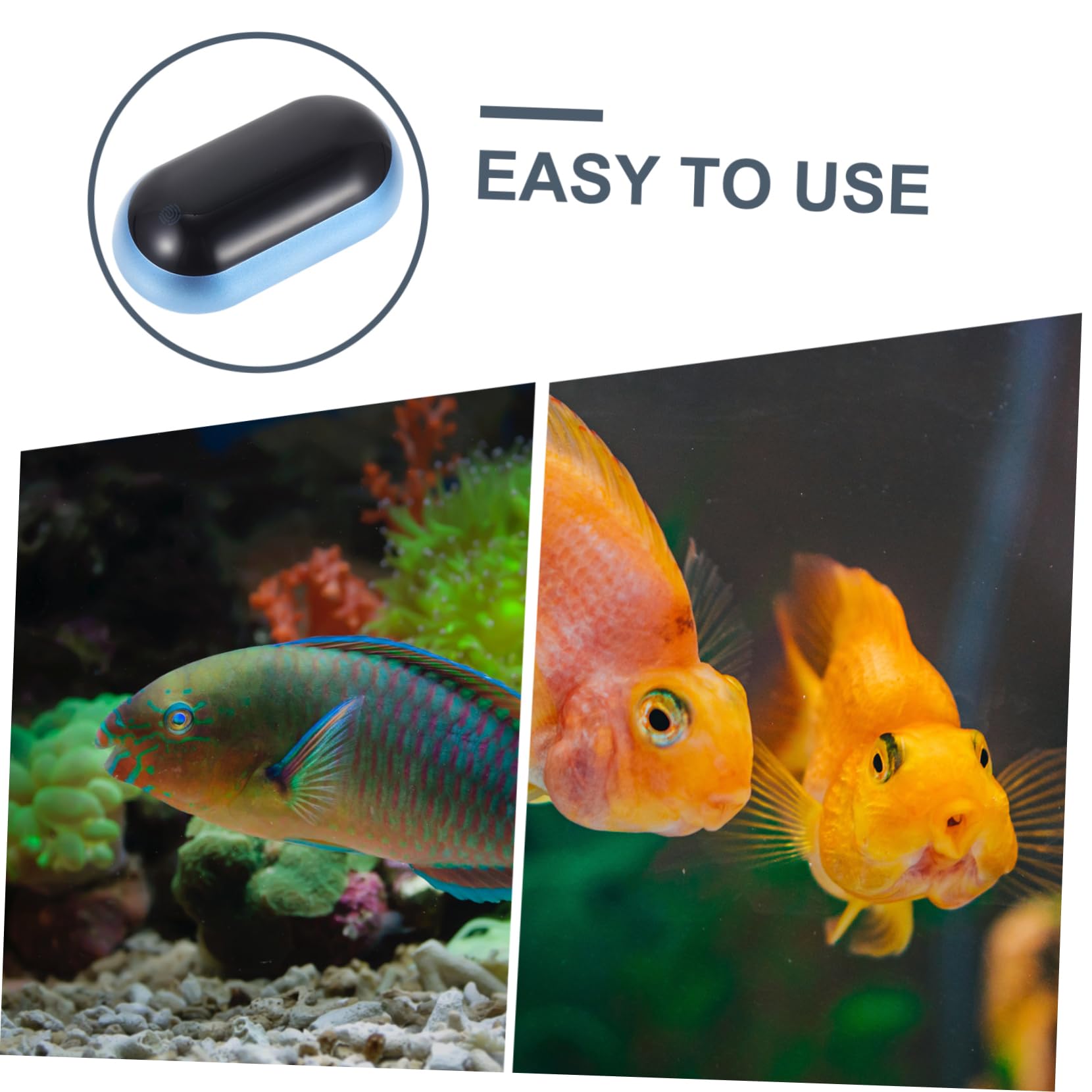 Toddmomy 3pezzi Termometro Per Acquario Con Display Lcd Misurazione Precisa Della Temperatura Per Terrari e Pesci Facile Installazione e Alta Durabilità Strumento Per Appassionati Di