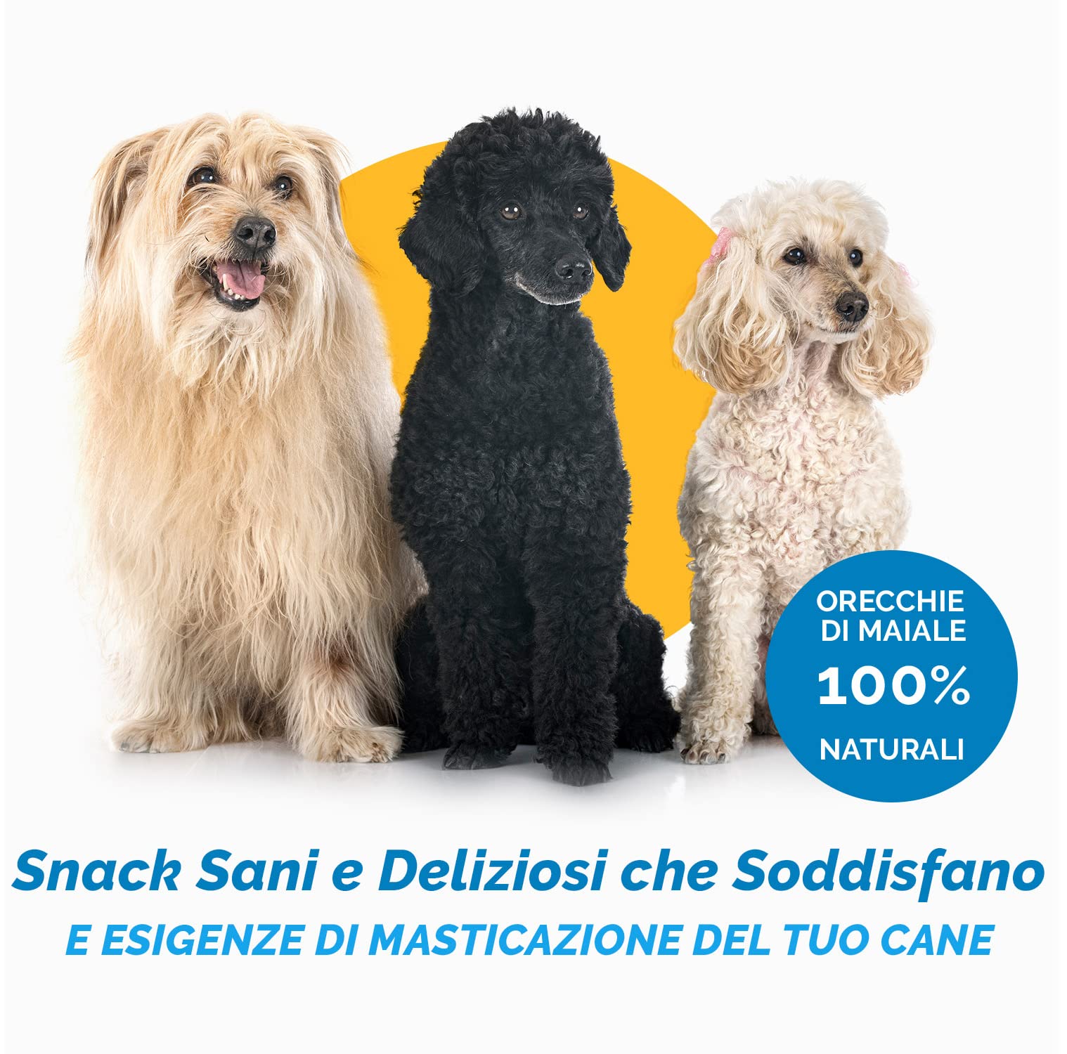 123 Treats - Premietti per cani con orecchie di maiale naturali al 100% (100 pezzi) Masticabili per cani con orecchie di maiale intere
