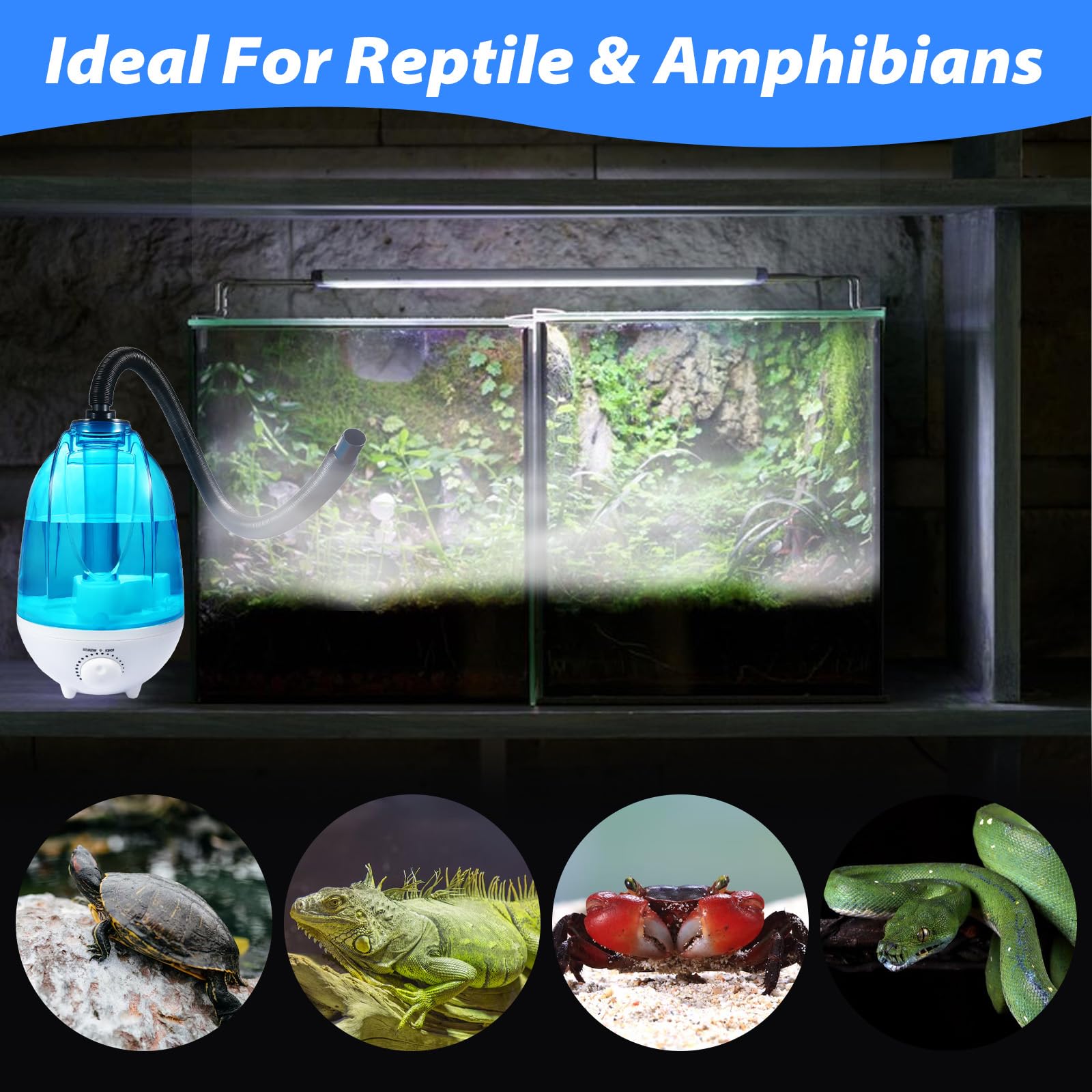Reptilie Luftbefeuchter Terrarium, 4L Reptilien Luftbefeuchter 300mL/h Mit 7 Farben der Nachtlichtfunktion, Terrarium-Nebelgerät Mit verstellbarem Schlauch, Lautloses Fogger Vaporizer Nebelmaschine