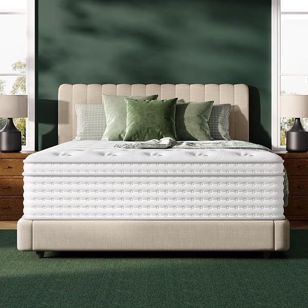 FP FLEXPEDIC Queen Mattress, 14 Inch Luxury Hybrid Mattresses, Fiberglass-Free Memory Foam Mattress in a Box, Individual
