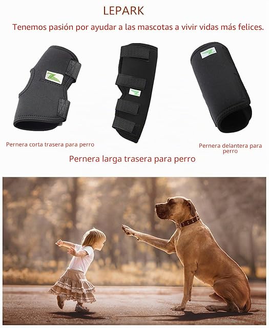 Foto 5 de 5 de RockPet Órtesis Curadora Articulación Pata Trasera de Perro Envoltura Canina de Corvejón (XL)