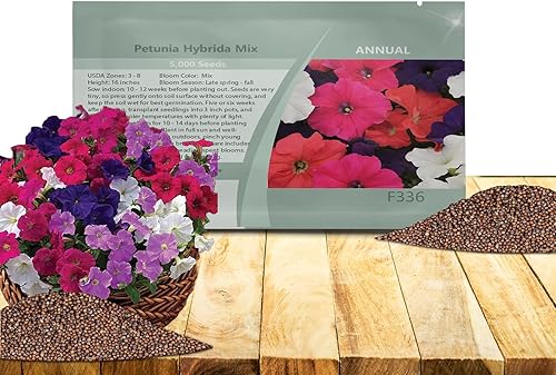 Outsidepride Petunia Hybrida Mix Plantas de interior o macetas para exteriores cestas o flores 5000 semillas disponible en Yaxa Colombia