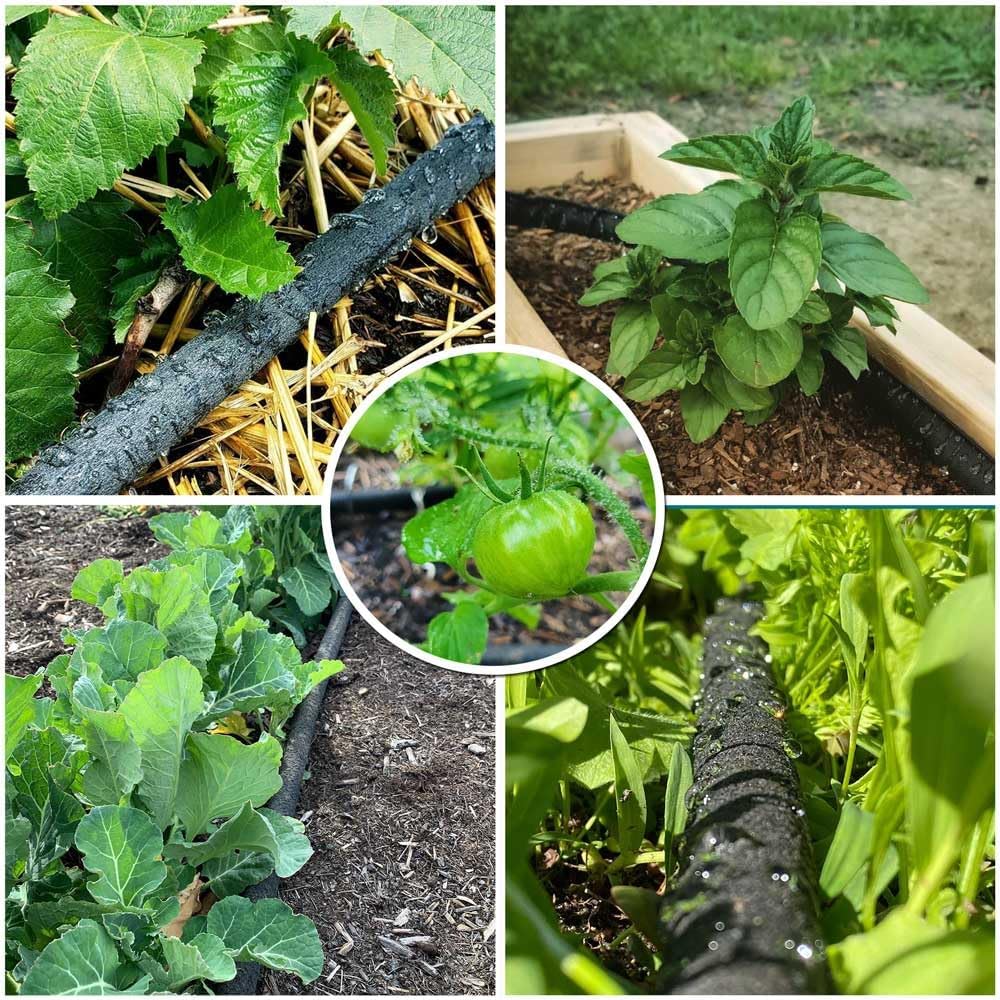 1/2inch 100ft Garden Soaker Hose Solid Brass Connector Heavy Duty Water Hose Perfect for Garden, Vegetable| Leakproof Lightweight 100 FT Soaker Hose