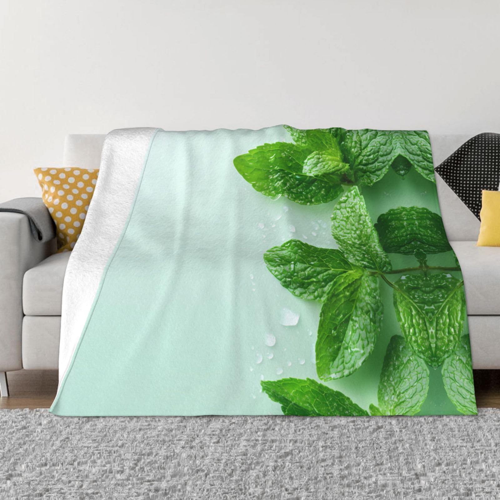 Couverture de canapé chaude en flanelle menthe 152x127 cm pour salon et lit