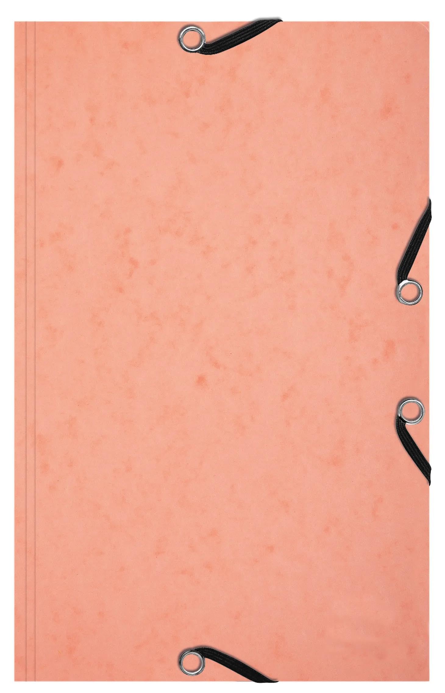 Exacompta 10 Sammelmappen mit Gummiband 14,5 x 22 cm + 25 Karteikarten