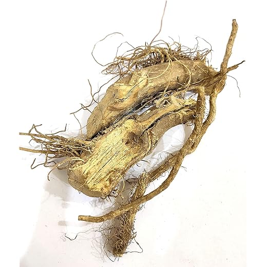 Kateri Jad Root - Respiratory Support