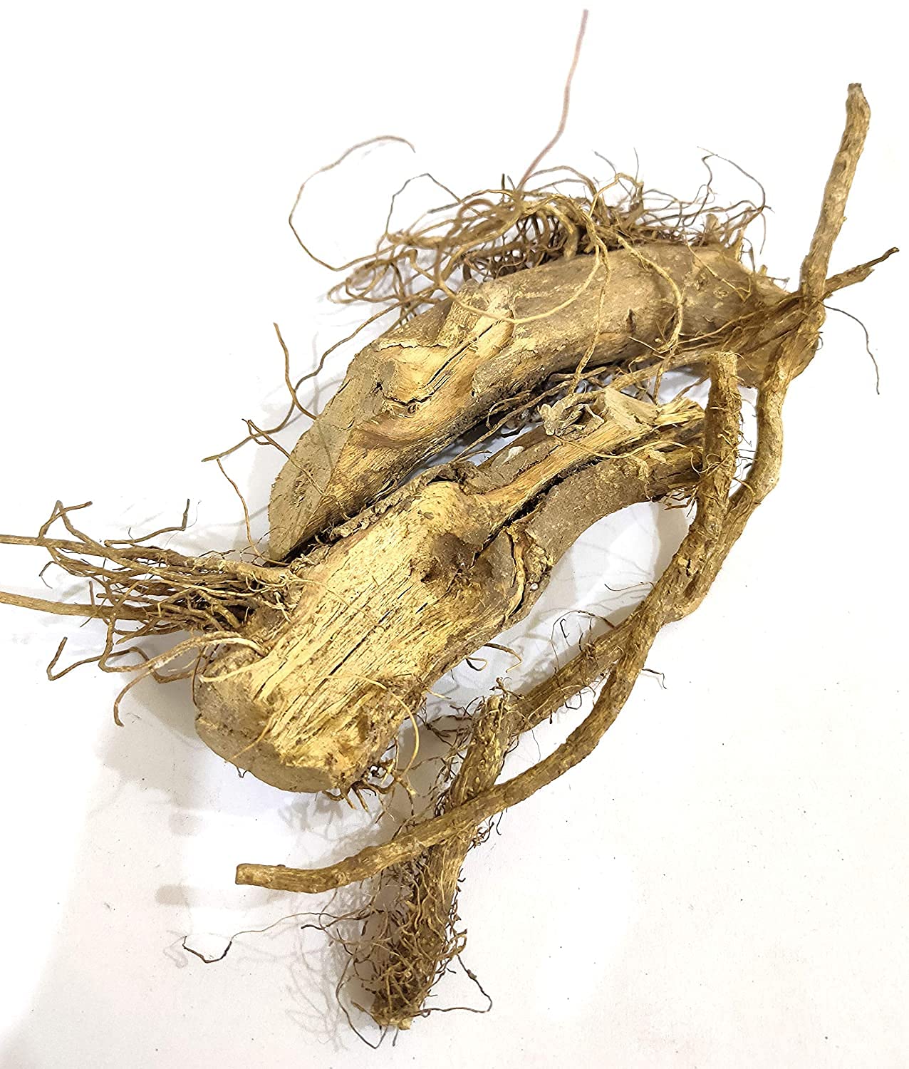 Kateri Jad Root-Solanum Xanthocarpum � Bhatkatiya Root � Kantakari-Katehli � Katehri-(Ringni Mool) Kateli (250 Gms) (B08PFWLLHY) Amazon Price History, Amazon Price Tracker