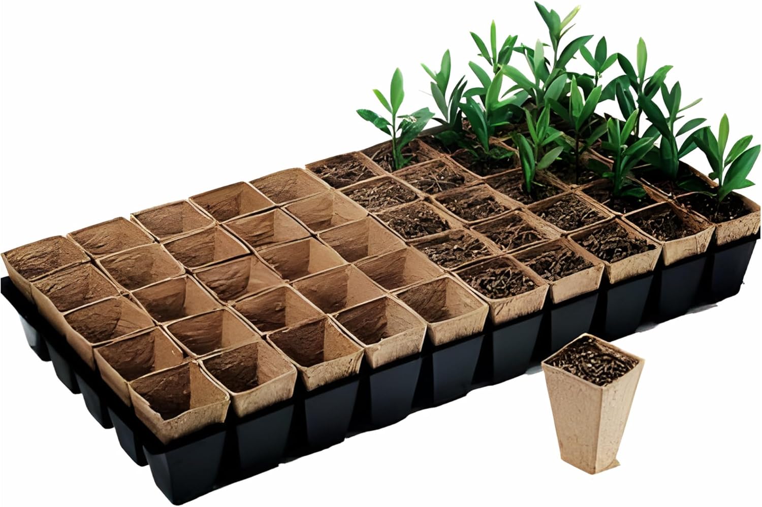 Jiffy - Peat Pots - Square Plant Seedling Starters Kit, Seed Germination Trays for Flower Vegetable Tomato Saplings, Herb - 2 X 2 - 3 Deep, 50-Pot Strip Sheets (3 Pcs (150 Total Pots))