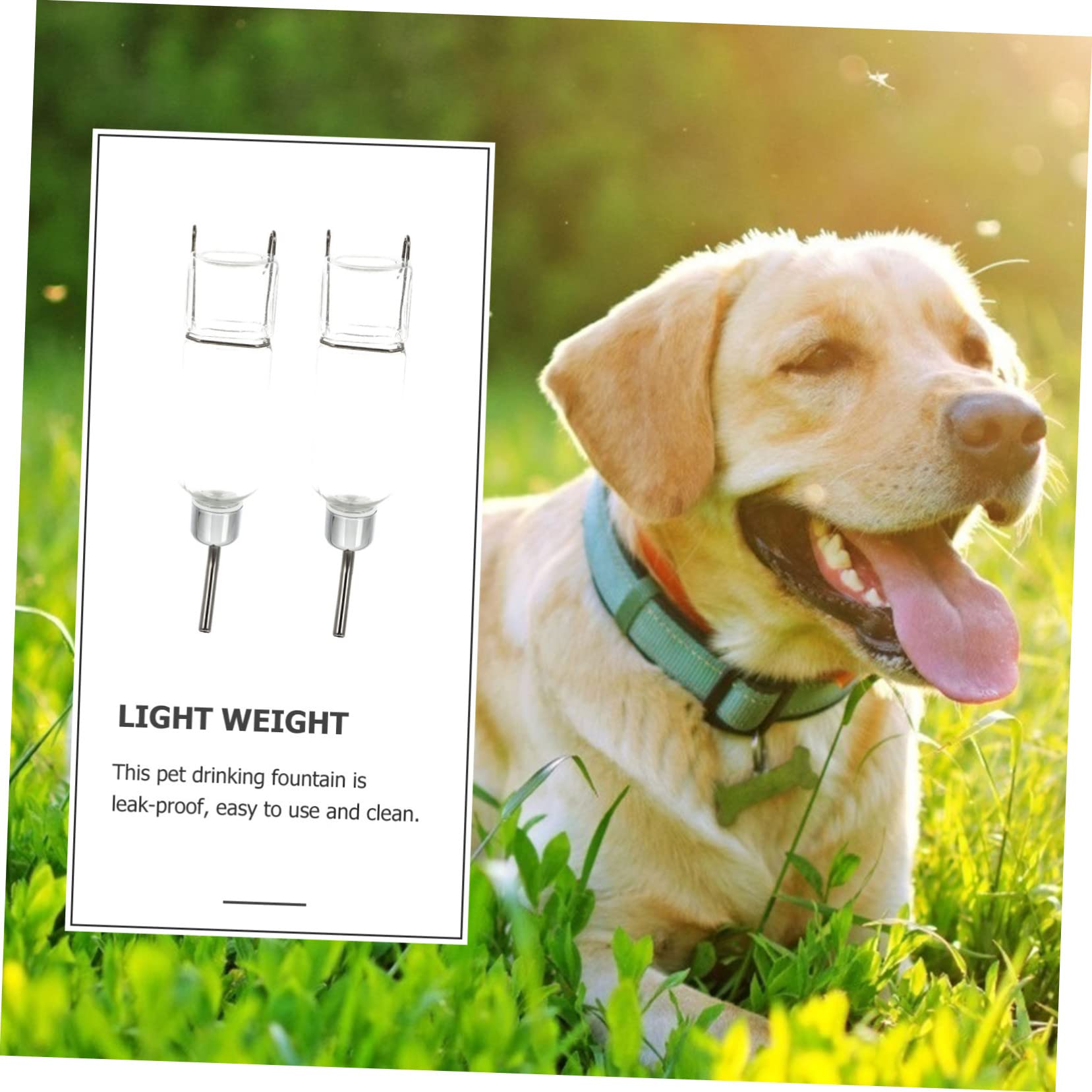 FOMIYES 4 Pz Fontanella Borraccia per cani da parete distributore d'acqua per animali domestici borraccia stich borraccia per animali domestici dispositivo per bere acqua lotta francese