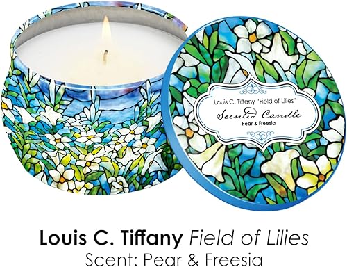 Miniatura 4 de Juego de regalo de velas perfumadas inspiradas en bellas artes aromaterapia con 8 de fragancia de aceite esencial paquete de 4 velas de cera de soja