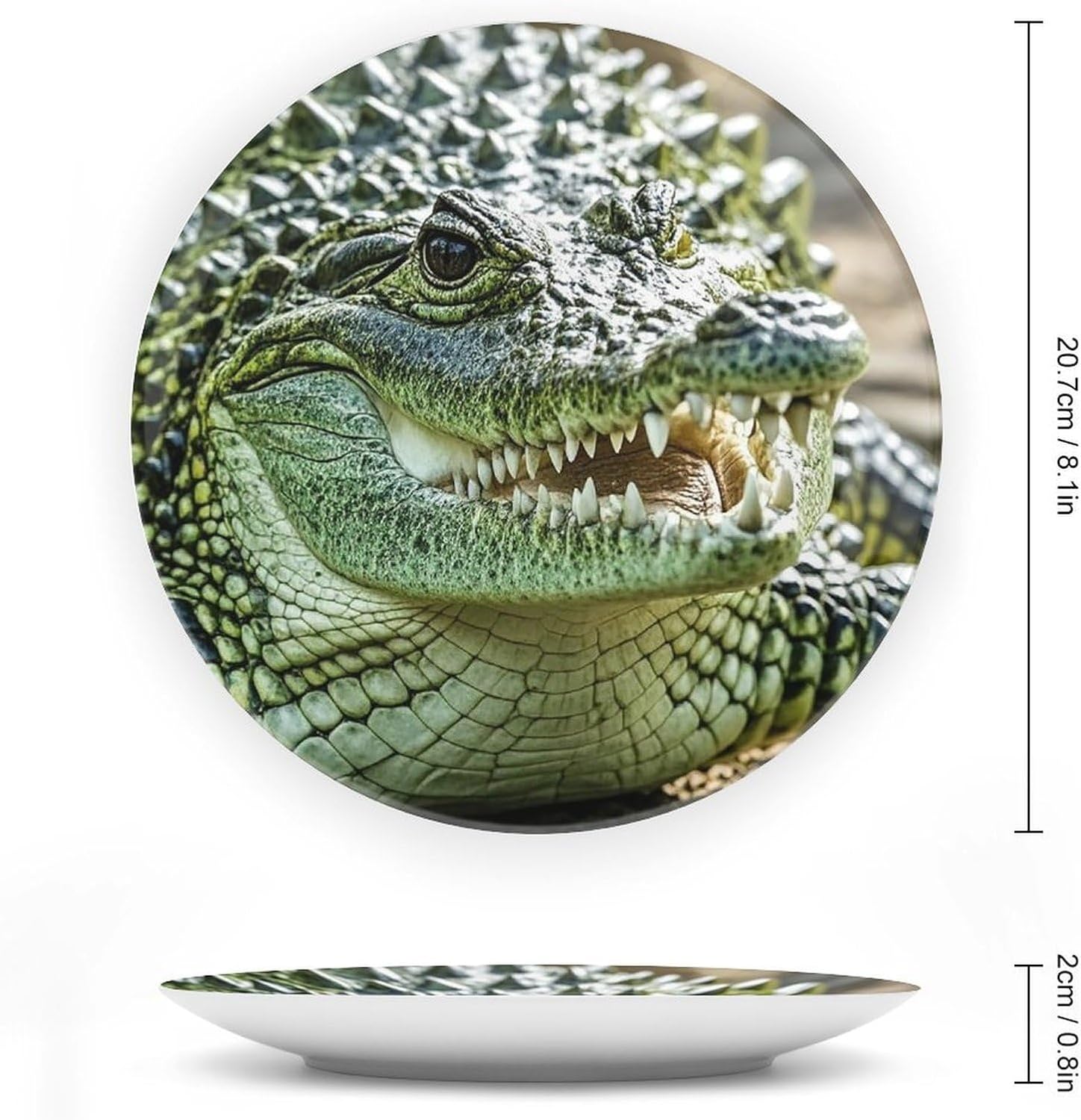 Crocodile Pirate Pattern Decorative Ceramic Plate Round Porcelain Plate Decor Personalized Bone China Decorative Plates Ceramic Ornaments Dessert Plates with Display Stand 8inch