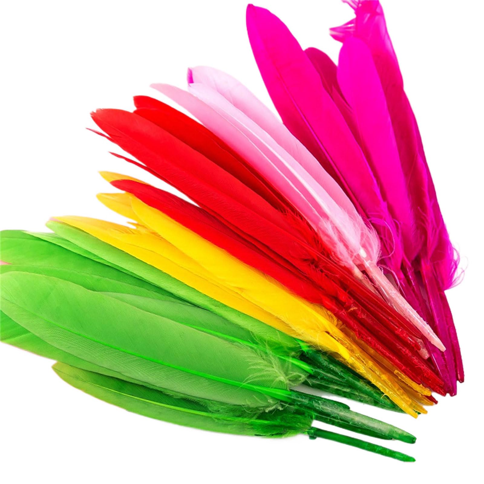 Jazuaiao 100Pcs Colorful Craft Feathered Adornment for Craft Use in Dream Catchers Earrings and Festival Decorations Feathered Decorations