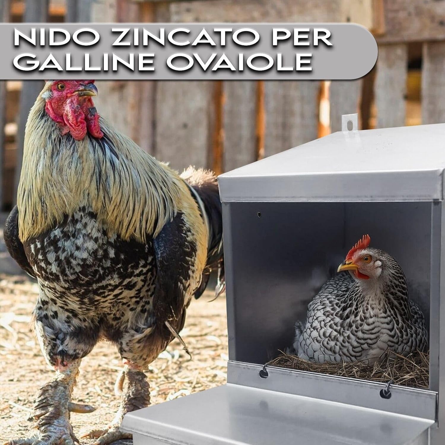 Nido ad 1 Posto per Galline Ovaiole. Raccolta Uova dall'Interno del Pollaio. Misure cm L 30 x P 42 x H 43
