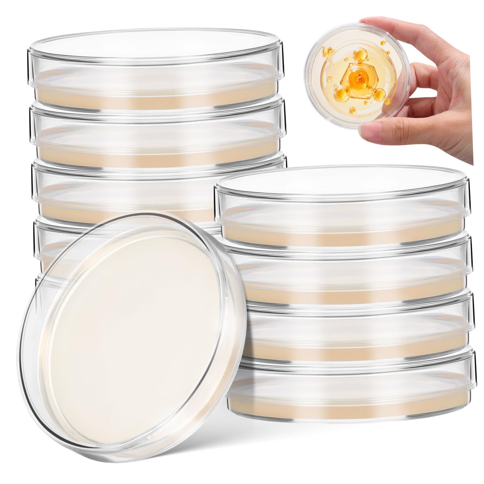 Placas de Agar Nutritivo 10piezas 7cm, Agar de Capa Gruesa | Placas de Petri de Agar Pre-vertido, para Science Class y Stem Science, Decoracion Colegio