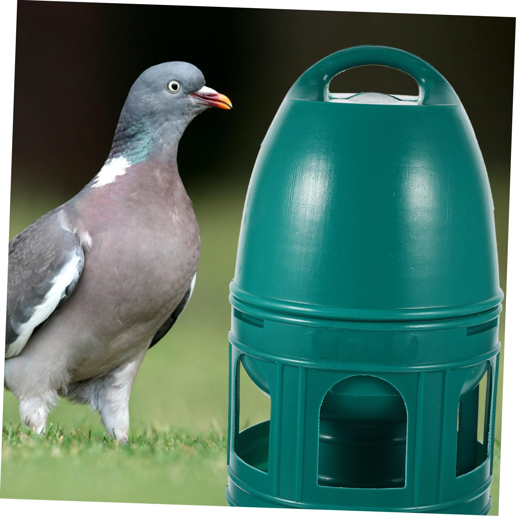 POPETPOP Bebedero De Plástico para Comedero Doméstico para Pájaros Bebedero Portátil para Codornices Suministros para para Patio o Jardín