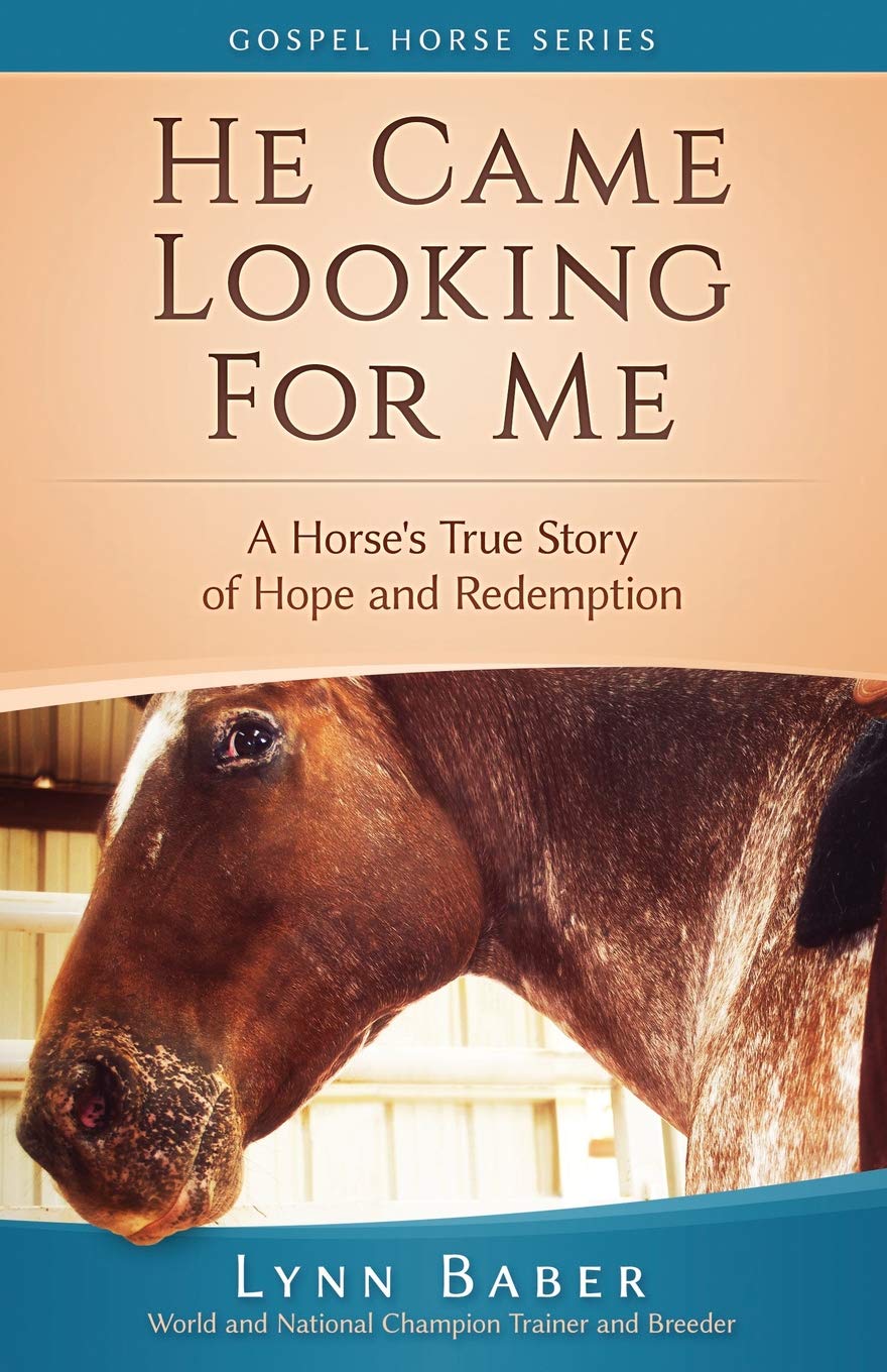 He Came Looking for Me: A horse's true story of hope and redemption: 2 (Gospel Horse Series)