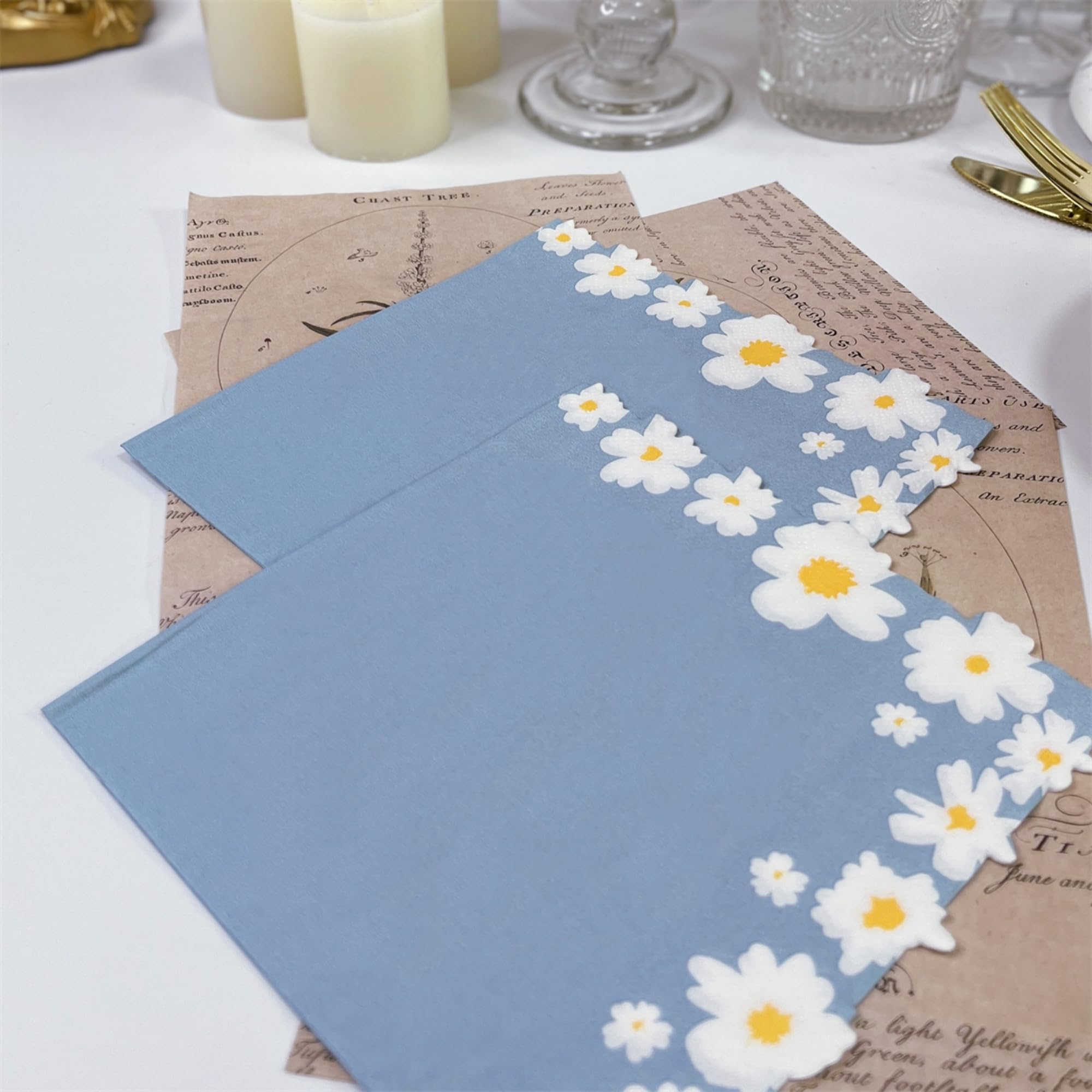 Boston International 3-Ply Cocktail Paper Napkins, 20-Count, 5x5 Inches, Blue Floral Design, Biodegradable