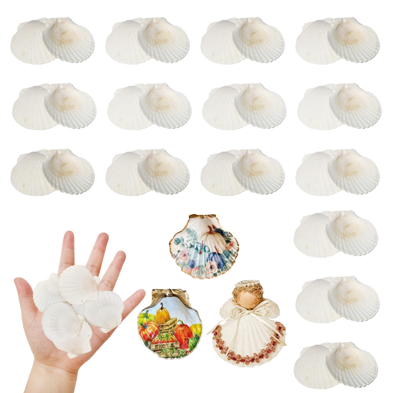 30 sztuk muszli małża 3-5 cm Prawdziwe muszle do rękodzieła, malowania, naturalne muszelki do dekoracji morskiej, akwarium, ślub