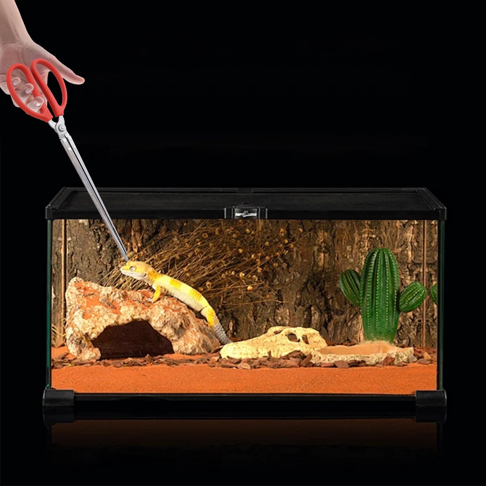 2 pièces Pince à Serpent 38cm Pinces à Nourrir pour Serpents Pincettes Extra Longues Pinces à Alimentation pour Reptiles Accessoires de Terrariums pour Lézards Grenouille Araignée