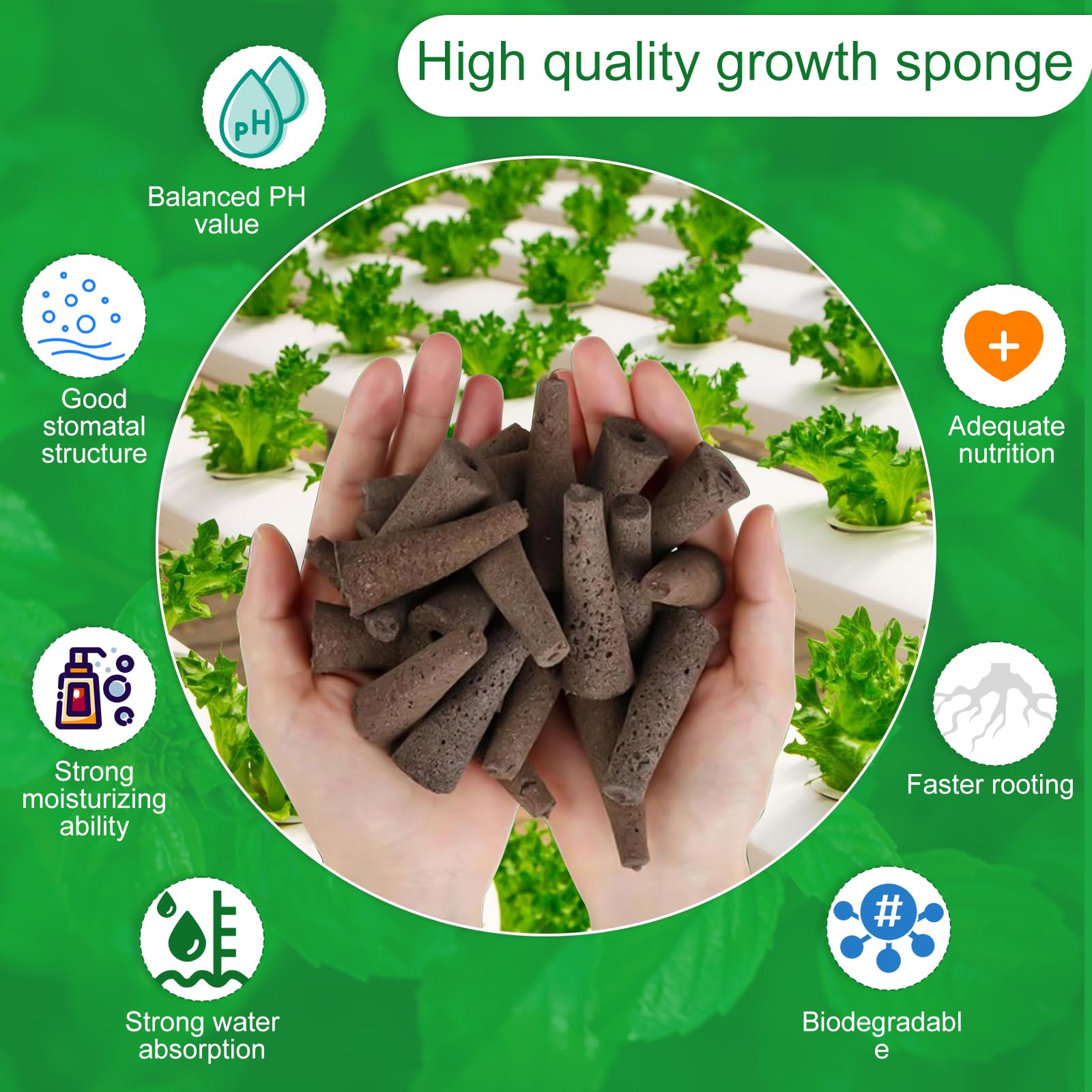 100 Hidroponia - Cultivo Hidroponico - PlantacióN de Esponjas HidropóNicas - Adecuado para Cultivar Varios Tipos de Brotes, como Fresas, Tomates, Albahaca, Menta Y Otras Plantas