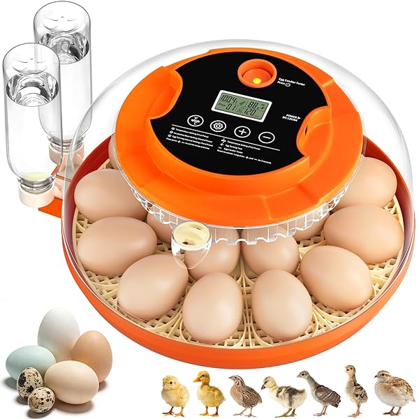 18 Egg Incubators for Hatching Eggs, Automatic Egg Turning and Humidity Control Incubator for Hatch Chicken Duck Quail Pigeon Pheasant Partridge Home Classroom Lab
