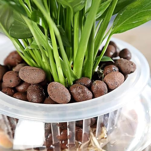 Vista 43 de Halatool Guijarros de arcilla expandida de 12 libras para plantas en maceta, bolas de leca de arcilla orgánica Lightweitht para hidroponía