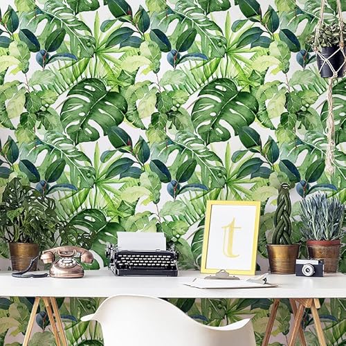 HAOKHOME Tropical Wallpaper Peel and Stick Palm Leaves Removable Stick on Home Decor 17.7in x 118in HAOKHOME Tropical Wallpaper Peel and Stick Palm Leaves Removable Stick on Home Decor 17.7in x 118in