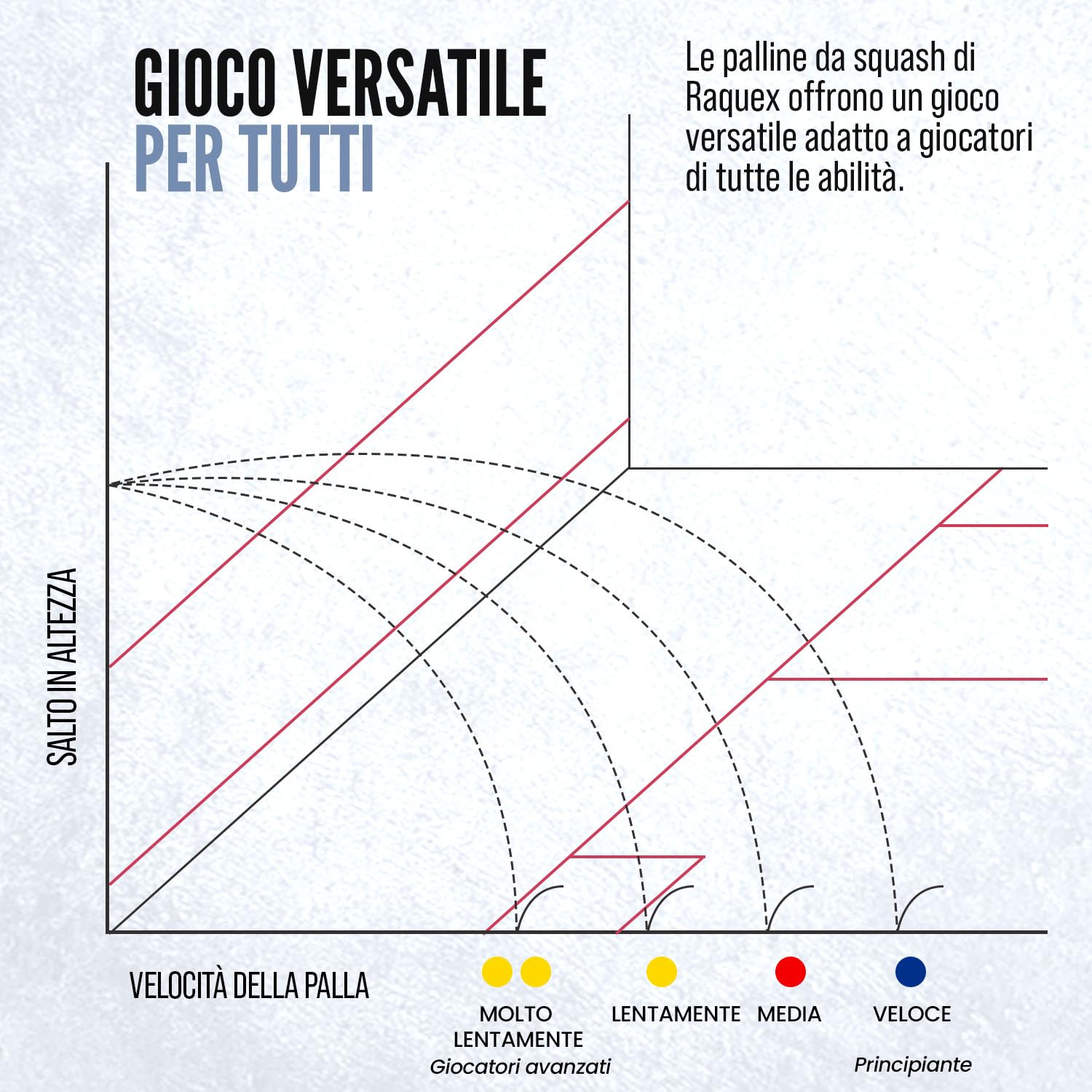 Raquex Palline da Squash Progression (Confezione Mista da 4 Palline) - 4 Velocità per Scatola: Punto Rosso, Punto Blu, Punto Giallo, Doppio Punto Giallo da Competizione. Approvata dalla WSF